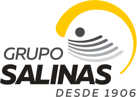 Grupo Salinas